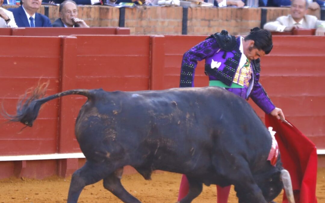 Morante , desatado…De arrancarse la coleta a 4 tardes en El Puerto, el ciclo de Sevilla, Jerez, Ronda, Zaragoza, si al final hay luz ; no descarta Madrid