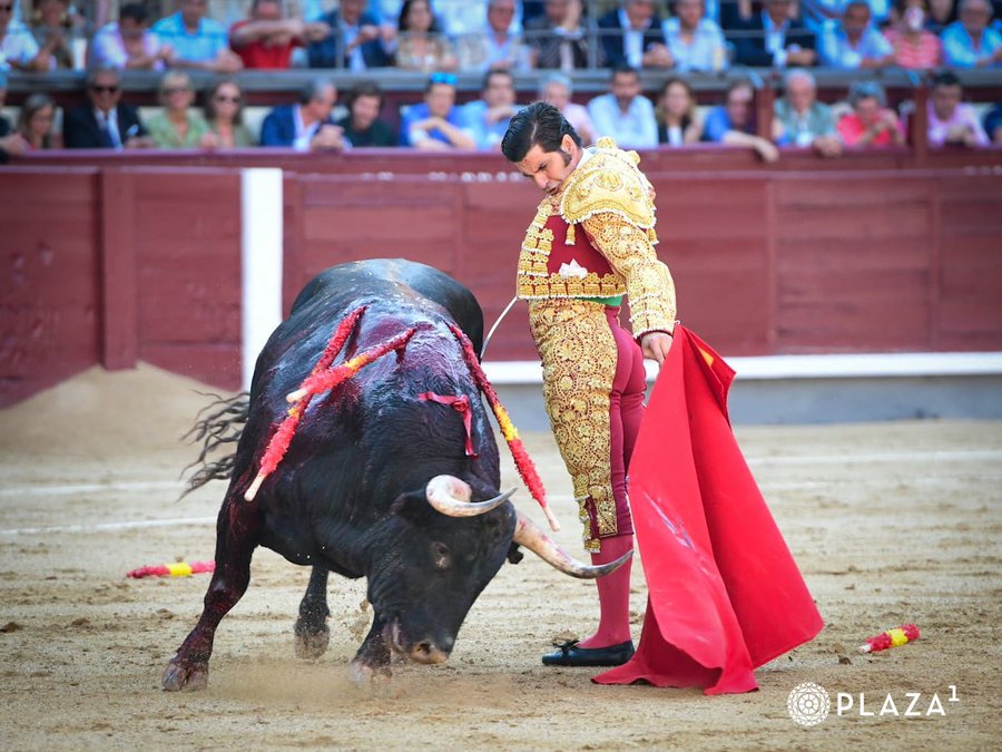 Sevilla sueña con Morante ,él quiere pero aun no decide su presencia . Ya se habla con otras figuras y en febrero los carteles. Nueva imagen