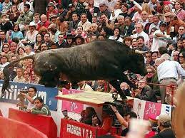 Hace 20 años «Pajarito» saltó al tendido en La México