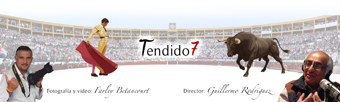 banner nuevo tendido 7