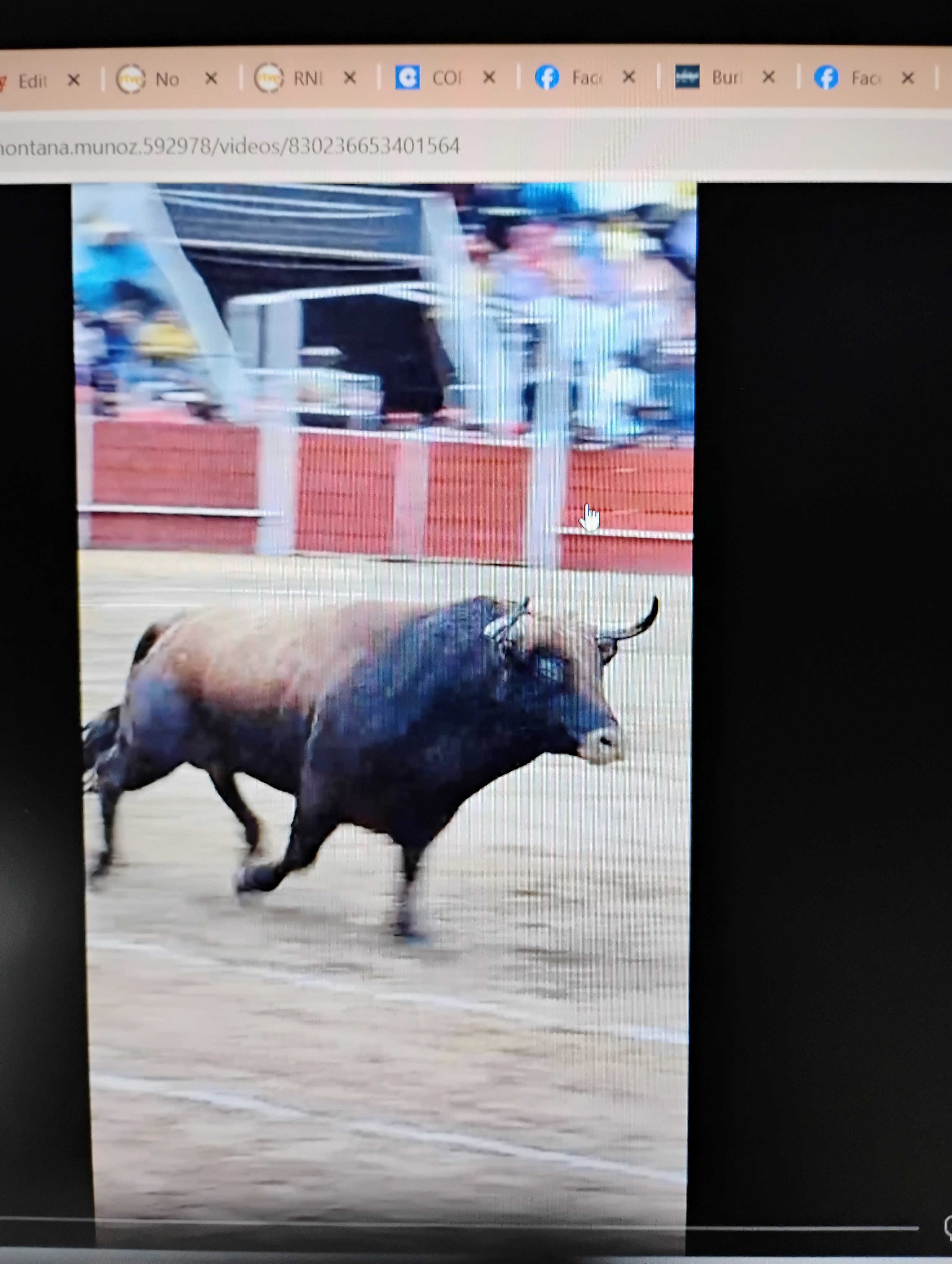 En menos de 24 horas, Colombo indulta un segundo toro. El sábado en San Cristóbal y hoy en Lenguazaque con la divisa de don Carlos Barbero