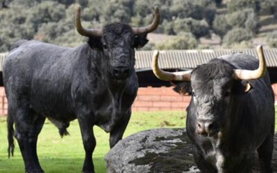 Ceret incluye a Juan de Castilla con los de José Escolar en julio