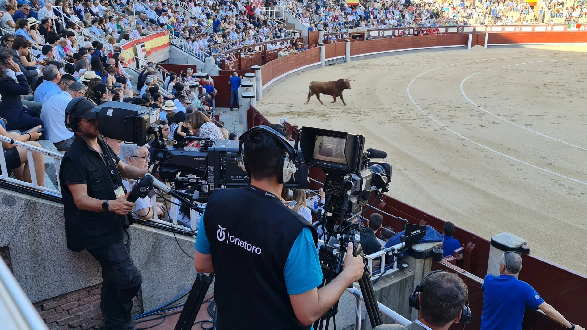 televisi9n y toros