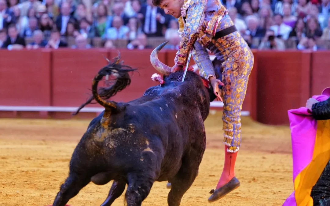 Roca ha tenido suerte pese a la gravedad de la cornada en Sevilla. Dado de alta. Se encuentra tranquilo