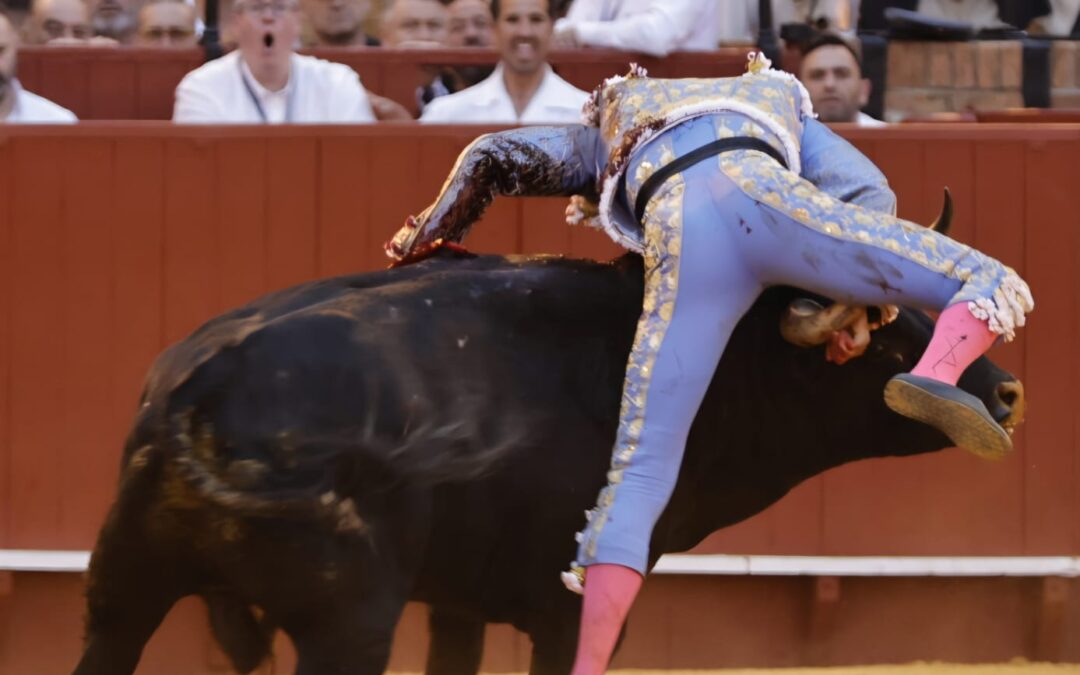 Roca, terrible cornada ( 35 centímetros )con varias trayectorias y dos orejas. Herido al entrar en la suerte suprema con el quinto tras una faena que despertó a una plaza adormilada en los 4 primeros. Zulueta, vuelta