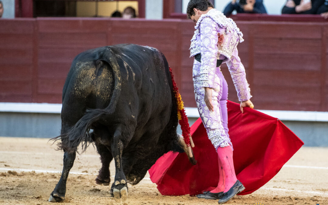 San Isidro,Invàlido el primero del Vellosino , al segundo el pùblico ni caso y pasa de puntillas David de Miranda. Dos avisos a Castella. Luque, ovacionado y saludo desde el tercio