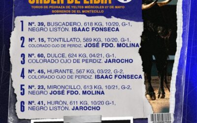 San  Isidro . 6 de Pedraza de Yeltes. Què mèrito tienen los toreros modestos
