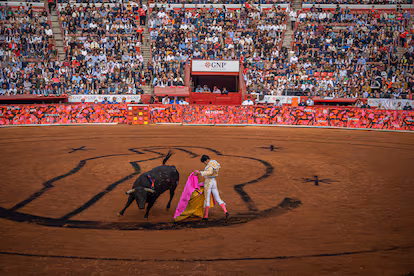 Mèxico es taurino, en la columna de Alcalino