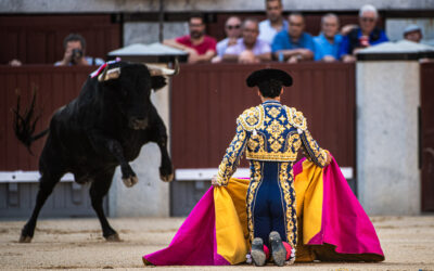 Hoy en San Isidro impresionante portagayola de Morenito de Aranda , tibia oreja a Talavante con remendada corrida