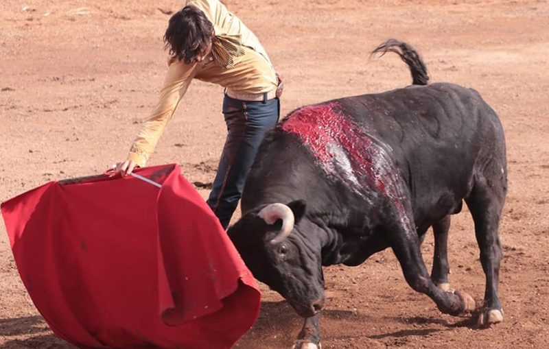 Roca Rey se prueba en el campo