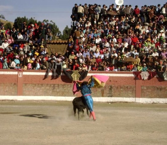 toros preovincia peruana