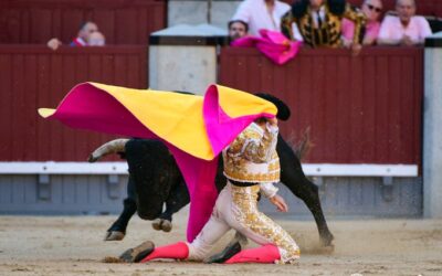 La apuesta en solitario de Borja en Madrid in memoriam Ignacio Sànchez Mejìas , sin trofeos  para el torero que se ha entregado sin reservas. Toros devueltos y fallos con  la espada le privan del soñado èxito