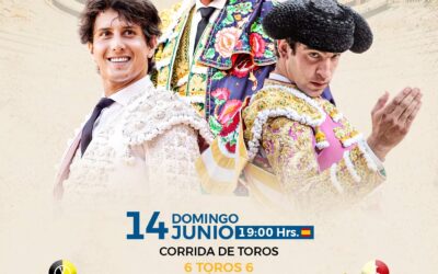 La Beneficencia , corrida de lujo en Madrid con Talavante, Roca y Hernàndez ; toros de Victoriano del Rìo y Cortès