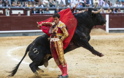 Ismael Martìn pide sitio. Grito herido de los toreros que valen por su entrega, valor y torerìa y que son ninguneados. Y en Madrid dio la talla