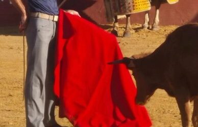 Josè Tomàs ( si quisiera ) , està listo… Tentò en La Palmosilla