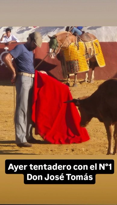 jose tomas tienta