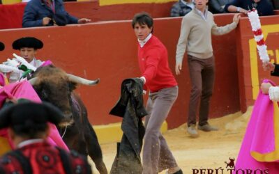Lo que es estar bien colocado en una plaza…Con su chaqueta, Roca Rey hace un quite de lujo a un banderillero en apuros en Chota