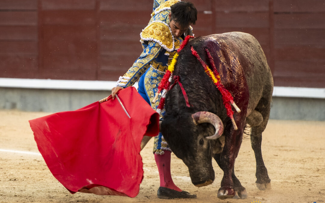 Madrid ovaciona a un entregado Damiàn Castaño que se gana una cabal vuelta al ruedo. Silenciados Pepe Moral  (en los dos ) y  Gòmez del Pilar con el mejor toro, faena que emborrona con la espada . Corrida del !!ay!! y el !!ufffff!! de Josè Escolar.