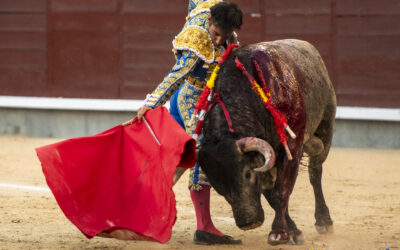 Madrid ovaciona a un entregado Damiàn Castaño que se gana una cabal vuelta al ruedo. Silenciados Pepe Moral  (en los dos ) y  Gòmez del Pilar con el mejor toro, faena que emborrona con la espada . Corrida del !!ay!! y el !!ufffff!! de Josè Escolar.