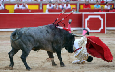 Impresionante cogida a un èpico Juan de Castilla en el quinto. Las orejas se esfumaron por la espada. Trasladado al  hospital de Pamplona . Le revisaron por fractura. No pudo actuar en Ceret. Isaac Fonseca , solitaria oreja