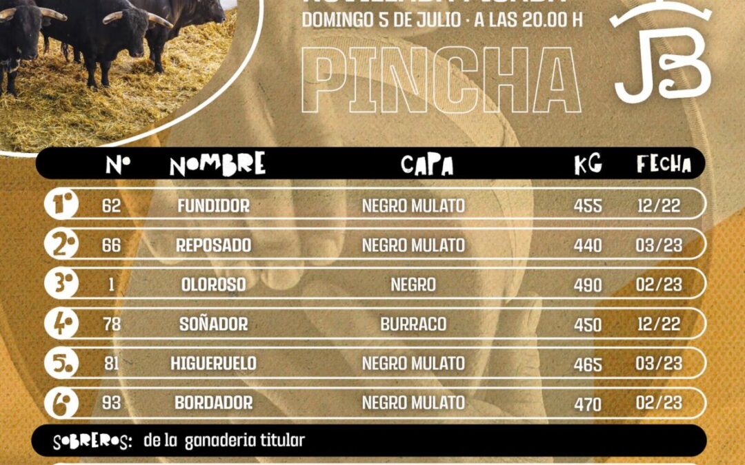 Novillada picada preámbulo de San Fermìn