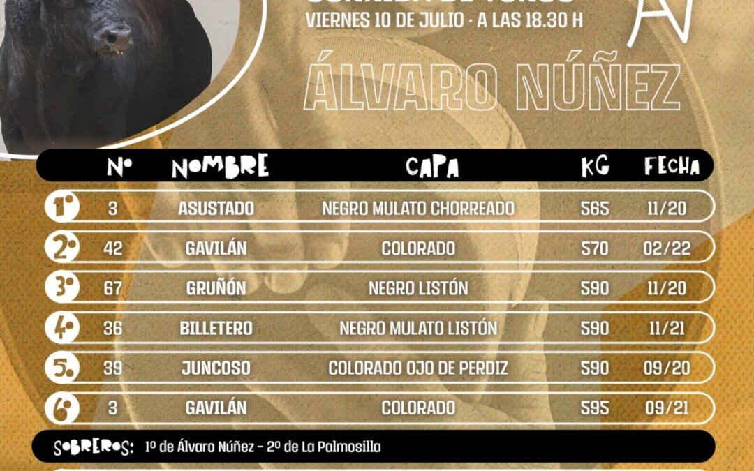 Ni una vuelta al ruedo en Pamplona…Y eso que estaba Morante en el cartel, que dejò solo detalles