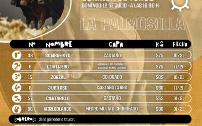 Sombrerito de La Palmosilla abre en Pamplona