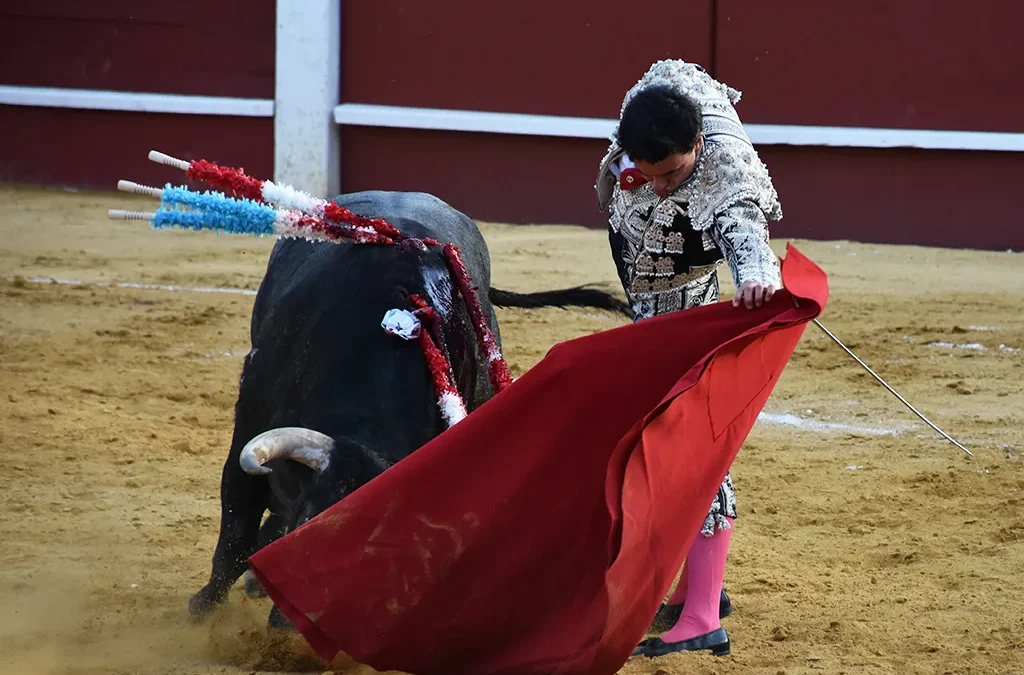 Juan de Castilla primer triunfador en Cuellar. Dos orejas, salida en hombros en una tarde de inspiraciòn