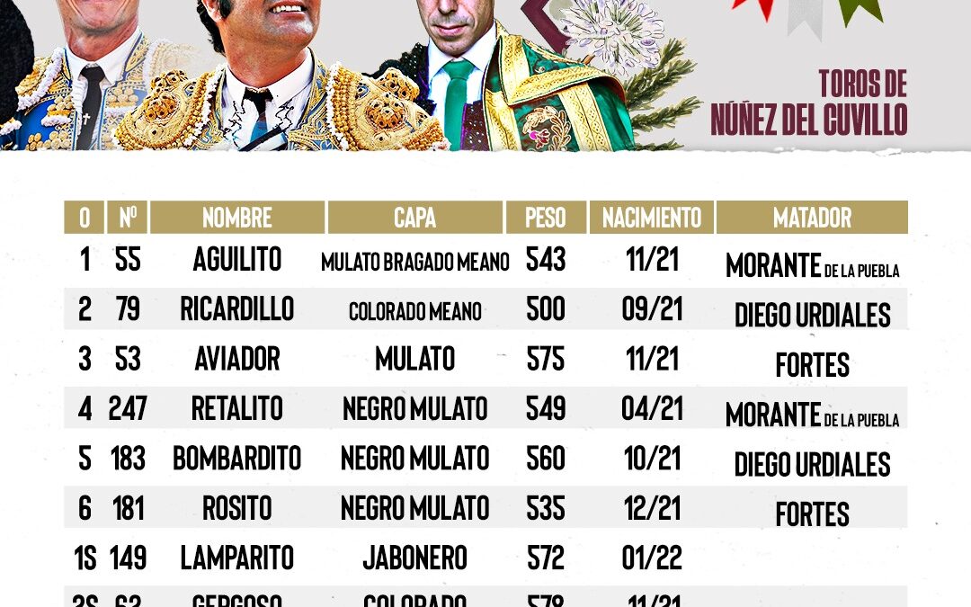 Tres dìas seguidos Canal Sur emite en abierto las corridas en Màlaga. Hoy  se cierra