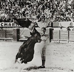 Hace 39 años falleciò en Bogotà el maestro Pepe Càceres. Momentos antes de expirar escribiò : «¿Maté al toro? ¿Me dieron las orejas? ¿Ya pagaron a las cuadrillas?.