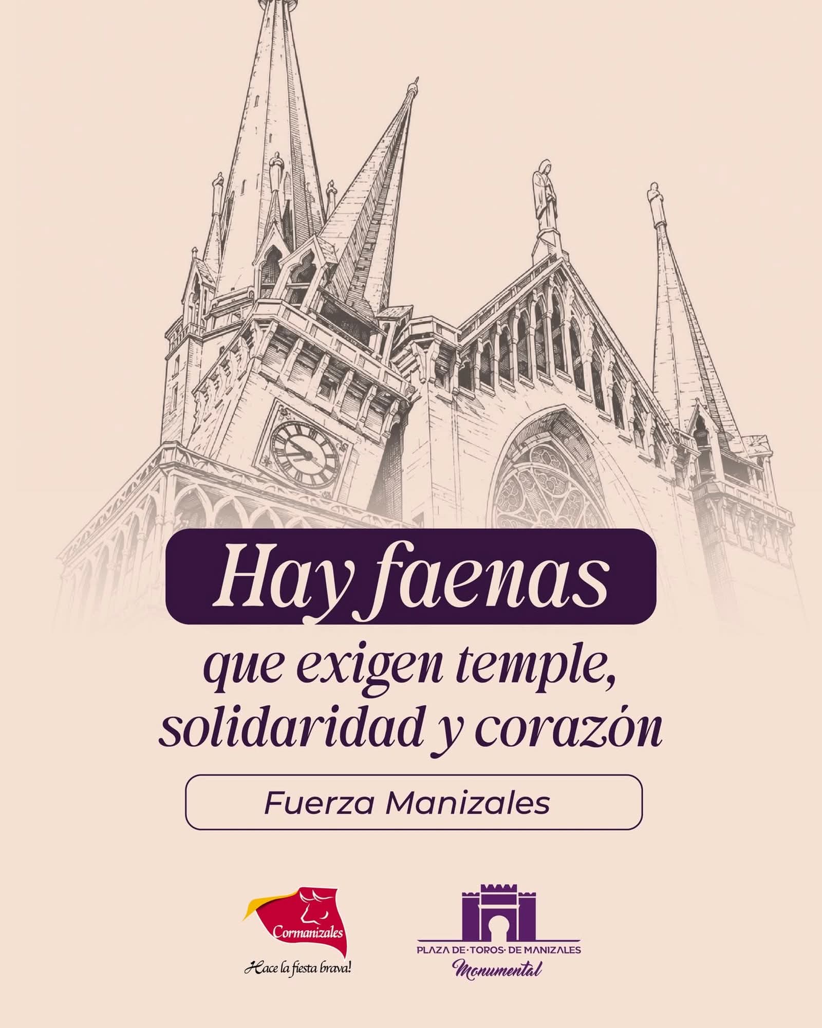 solidaridaad