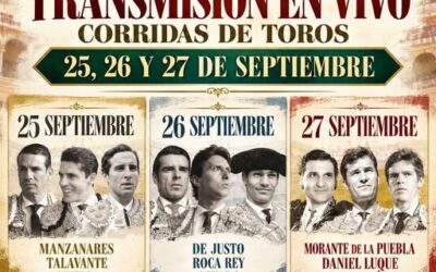 Canal Sur transmitirà la feria de San Miguel en Sevilla
