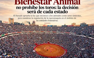 El Congreso de Mèxico no prohìbe las corridas en la Ley de Bienestar animal. Cada Estado decidirà. Aguascalientes , por ejemplo , ya blindò la fiesta