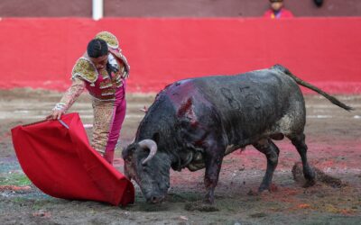 Los toreros se pronuncian sobre la mal llamada reconversiòn laboral