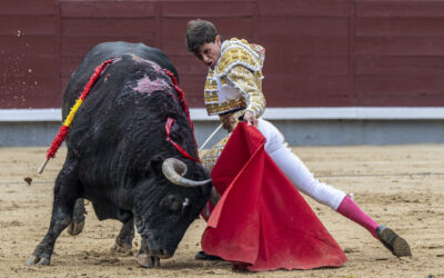 Auspiciosa tarjeta de visita del mexicano Gutierrez y del aragonès Palacio al cierre del Otoño en Madrid. Amplia reseña gràfica