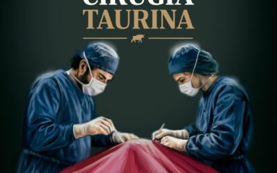 Los cirujanos taurinos se reunen en Ronda en su Congreso Internacional y se revelaràn los avances cientìficos