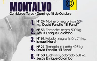 Colombo abre en Acho con «Fantoche» de Montalvo, hierro español de orìgen Ibarreño