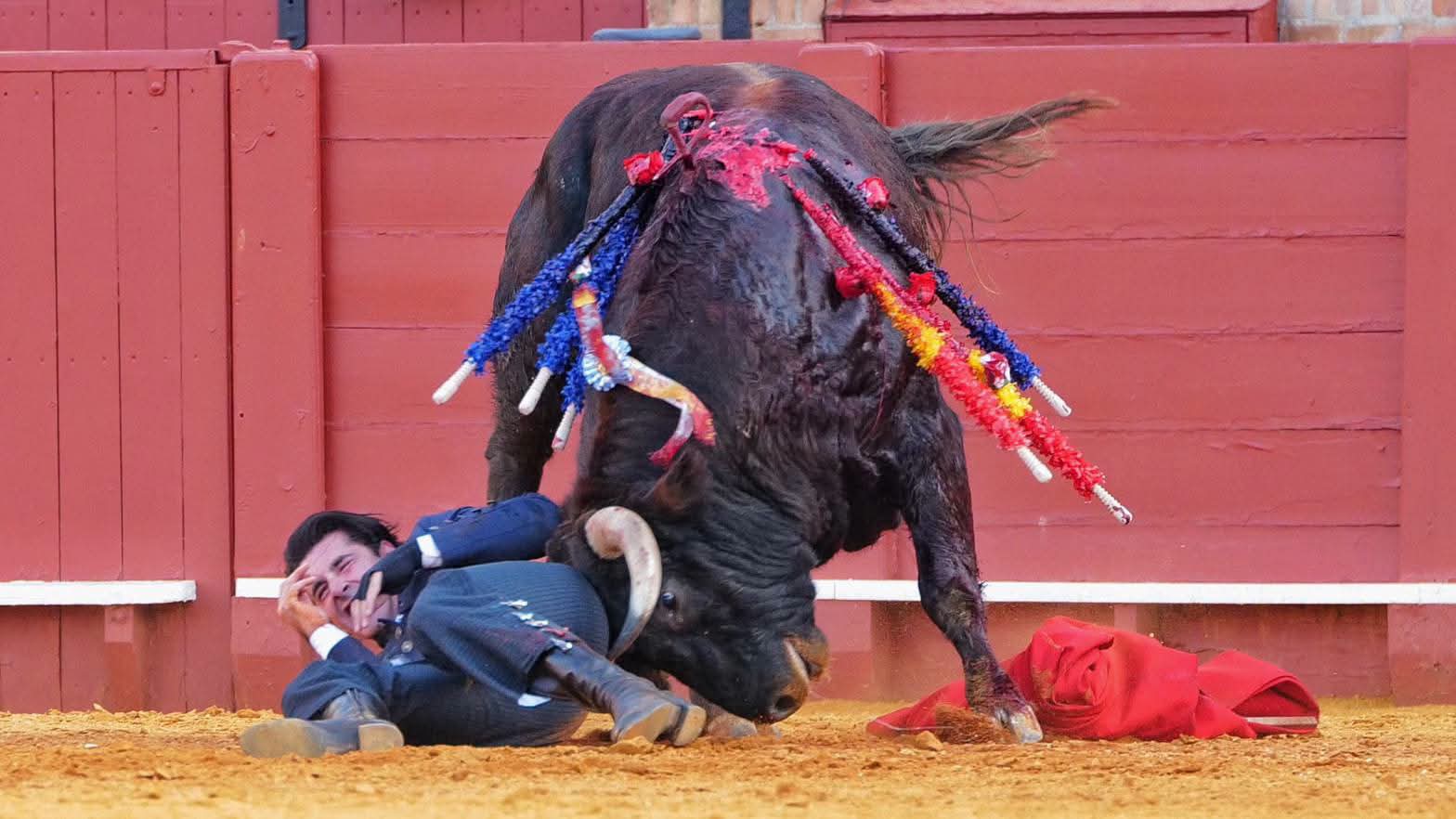 tala herido en sevillafestival