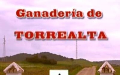 Acho cierra la feria del Señor Morao. El sàbado con Torrealta y el domingo, Nùñez del Cuvillo